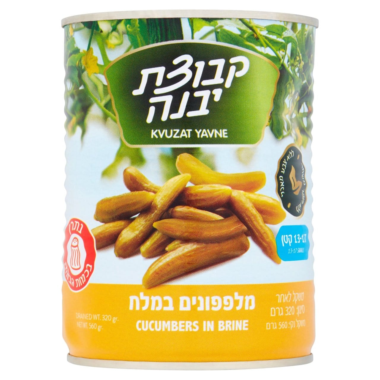 Kvuzat Yavne Cucumber in Brine 5KG