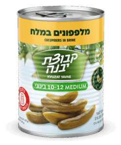 Kvuzat Yavne Cucumbers In Brine (10-12) 540g