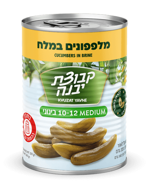 Kvuzat Yavne Cucumber in Brine (10-12) 560g