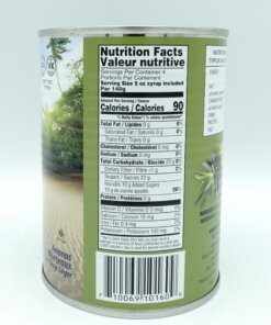 Alternative view of Gefen Pineapple Chunks in 100% Pineapple Juice 565g (20oz) (Parve) (KLP)