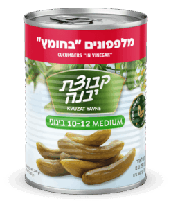 Kvuzat Yavne Cucumbers In Vinegar (10-12) 560g