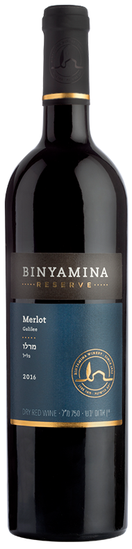 Binyamina Res Merlot Dry Red Wine 14.0%
