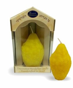 Art Judaica Havdalah Etrog Candle
