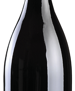 Binyamina Winery 2013 The Chosen Petit Syrah 750ml